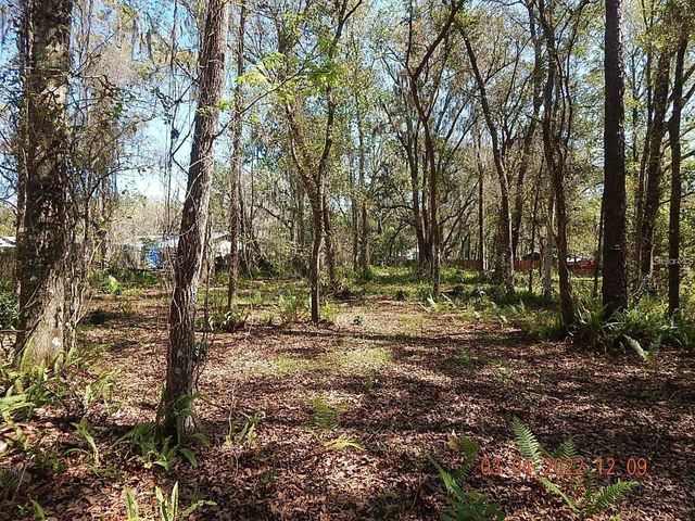 1026 BUIST STREET, Orlando, FL 32828