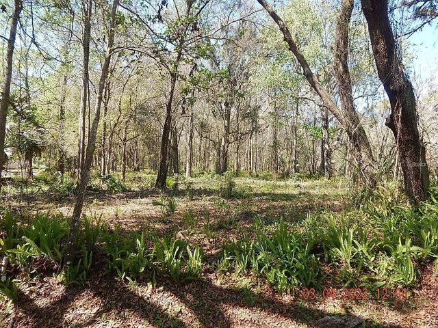 1026 BUIST STREET, Orlando, FL 32828