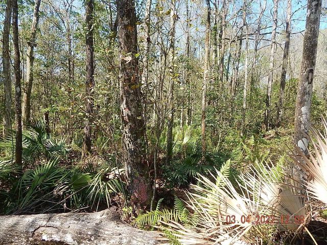 1026 BUIST STREET, Orlando, FL 32828