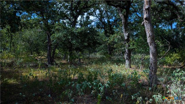 5476 County Road 427, Stockdale, TX 78160