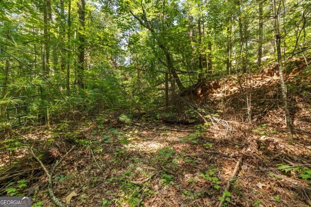 TRACT 2A Stevens Ridge Road, Ellijay, GA 30540