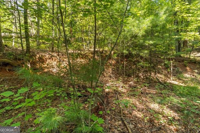 TRACT 2A Stevens Ridge Road, Ellijay, GA 30540