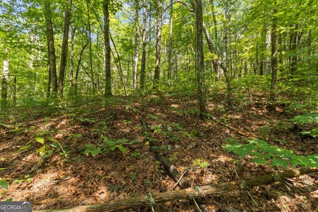 TRACT 2A Stevens Ridge Road, Ellijay, GA 30540