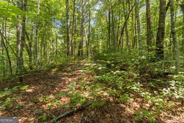 TRACT 2A Stevens Ridge Road, Ellijay, GA 30540