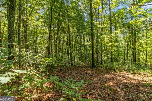 TRACT 2A Stevens Ridge Road, Ellijay, GA 30540