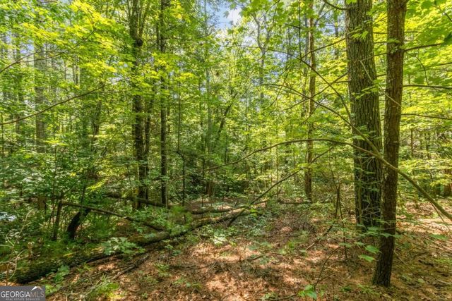 TRACT 2A Stevens Ridge Road, Ellijay, GA 30540