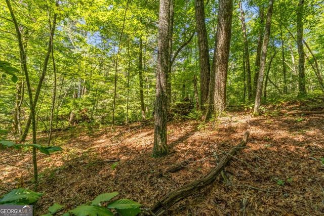 TRACT 2A Stevens Ridge Road, Ellijay, GA 30540