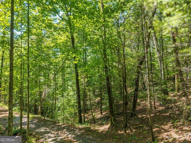 TRACT 2A Stevens Ridge Road, Ellijay, GA 30540