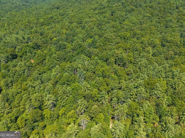 TRACT 2A Stevens Ridge Road, Ellijay, GA 30540