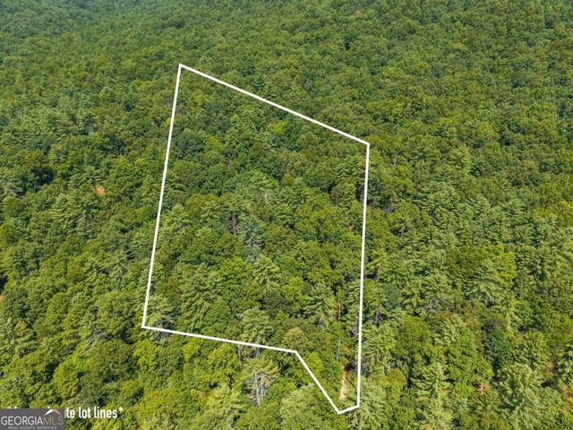 TRACT 2A Stevens Ridge Road, Ellijay, GA 30540