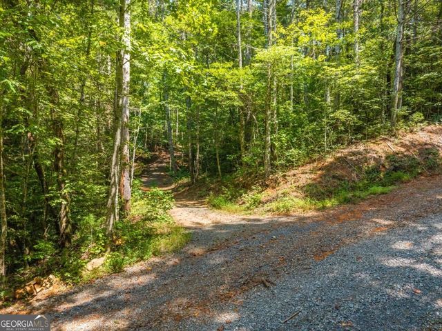 TRACT 2A Stevens Ridge Road, Ellijay, GA 30540
