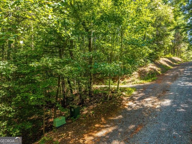 TRACT 2A Stevens Ridge Road, Ellijay, GA 30540