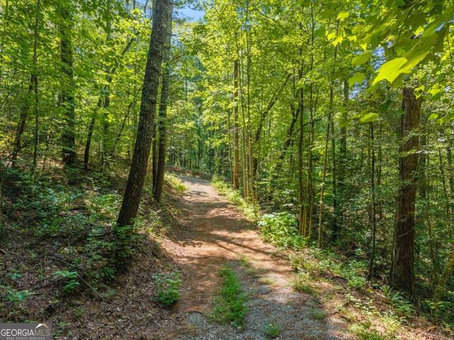 TRACT 2A Stevens Ridge Road, Ellijay, GA 30540