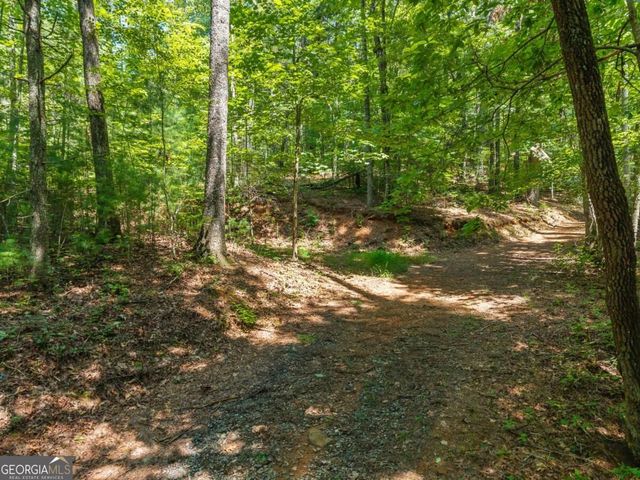 TRACT 2A Stevens Ridge Road, Ellijay, GA 30540