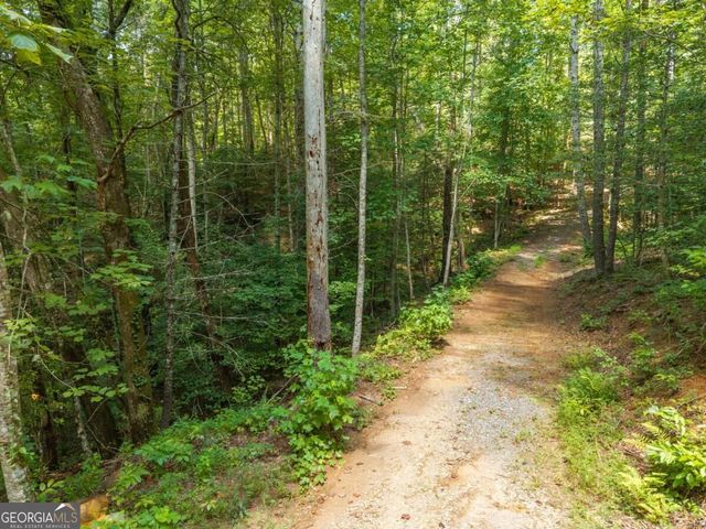 TRACT 2A Stevens Ridge Road, Ellijay, GA 30540