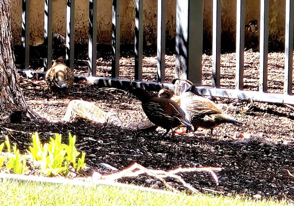 Image 45 of property listing at 850 S DONNER WAY #300, Salt Lake City, UT 84108