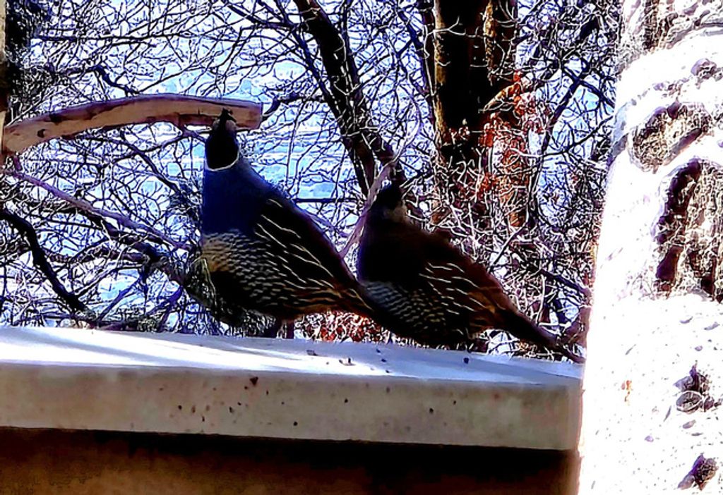 Image 46 of property listing at 850 S DONNER WAY #300, Salt Lake City, UT 84108