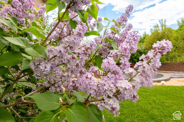 566 WILD WILLOW DR, Francis, UT 84036