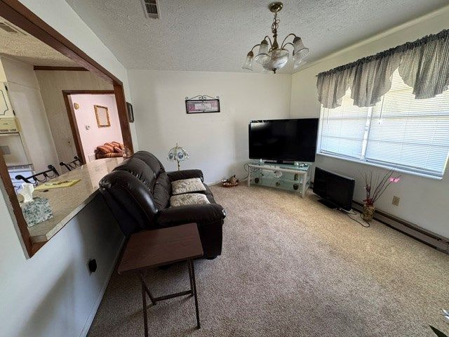 13935 Cottonwood Rd, Cottonwood, AL 36320