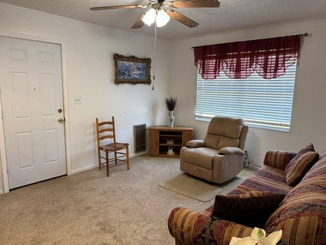 13935 Cottonwood Rd, Cottonwood, AL 36320