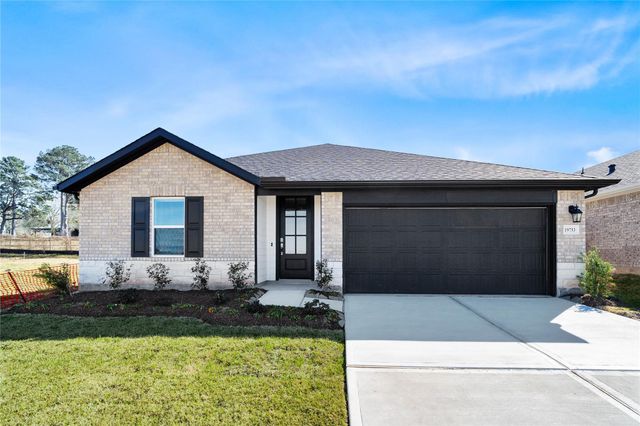 19753 Flag View Drive, Montgomery, TX 77316