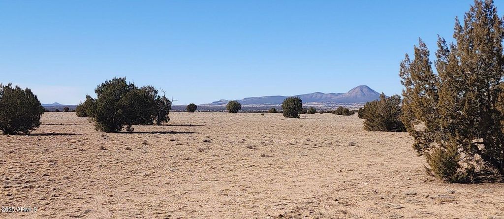 Image 5 of property listing at 223 Picacho Butte Drive 223, Ash Fork, AZ 86320