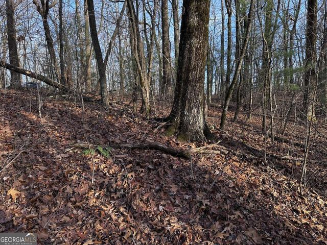 32 Andes Ridge, Jasper, GA 30143