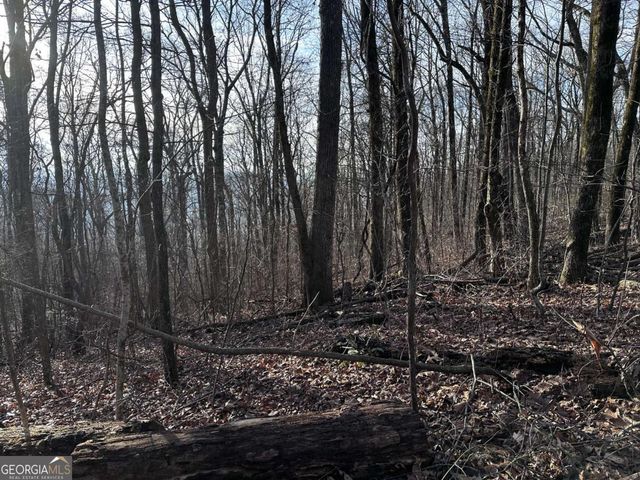 32 Andes Ridge, Jasper, GA 30143