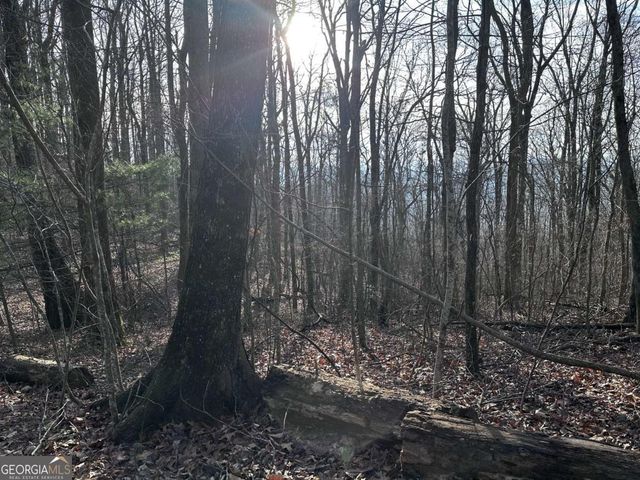 32 Andes Ridge, Jasper, GA 30143