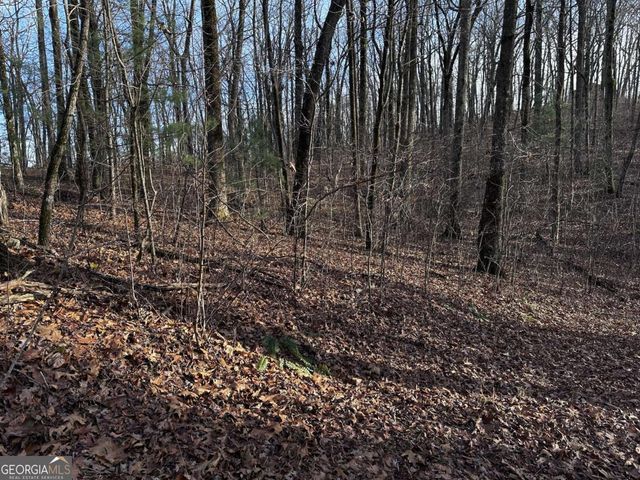 32 Andes Ridge, Jasper, GA 30143