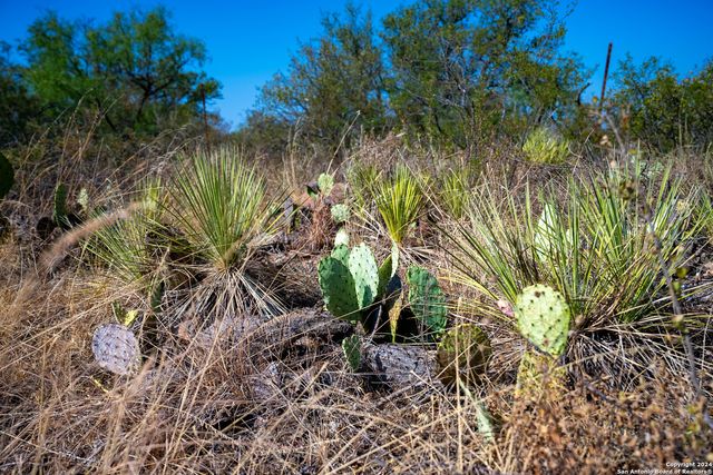 11865 W Ranch Road 152, Llano, TX 78643