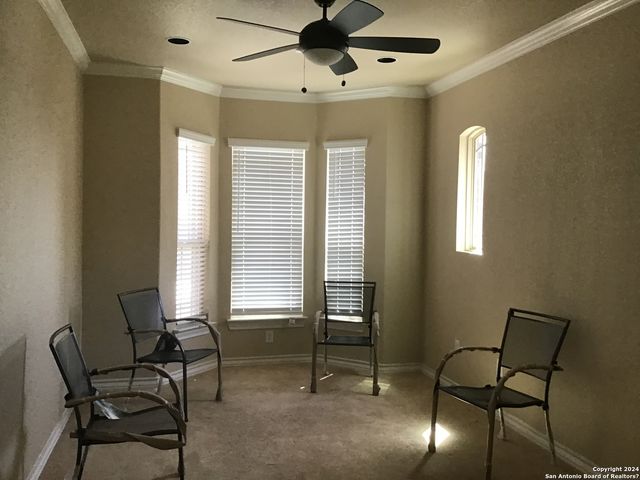 11135 Silver Thistle, San Antonio, TX 78245