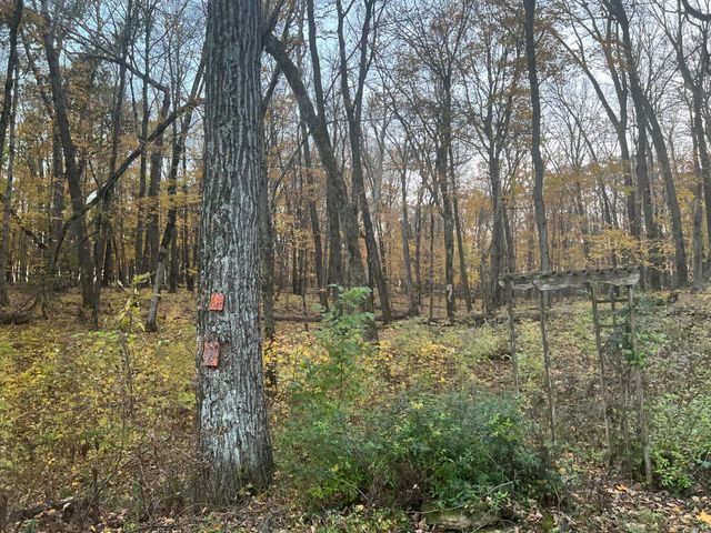 8309 County Road 19 SE, Rochester, MN 55904