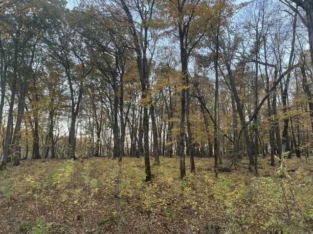 8309 County Road 19 SE, Rochester, MN 55904