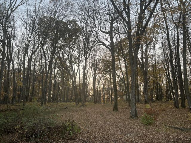 8309 County Road 19 SE, Rochester, MN 55904