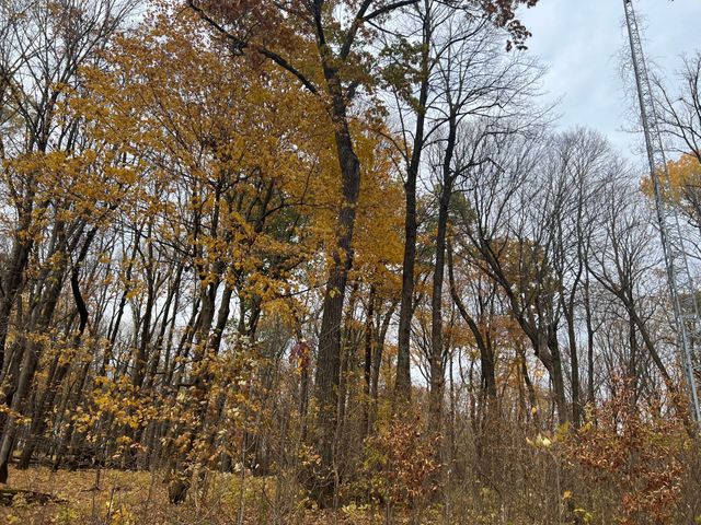 8309 County Road 19 SE, Rochester, MN 55904