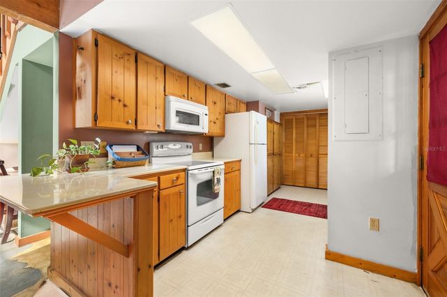 2325 LAKE LIZZIE COURT, St Cloud, FL 34771