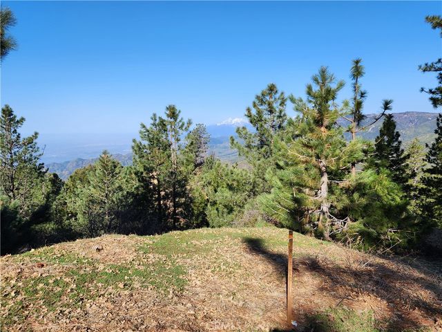 30110 Skyline, Running Springs, CA 92382