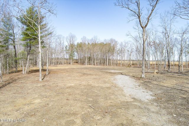 372 Perkins Trl, Deer Lodge, TN 37726
