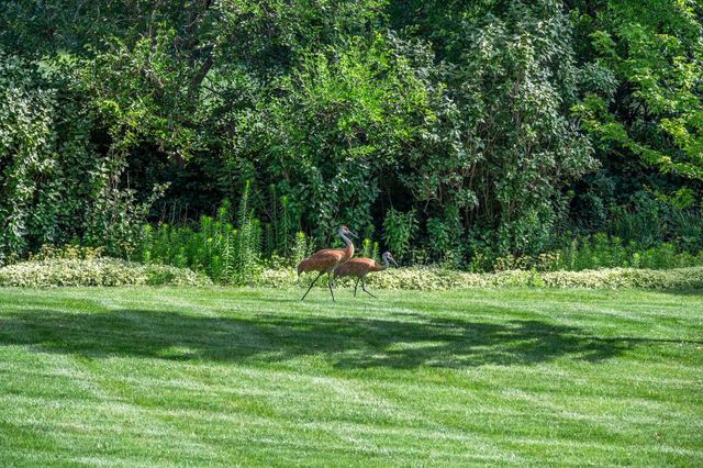 W287N6371 Broadwing COURT, Hartland, WI 53029