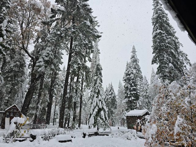 29104 Johnson Road, Montgomery Creek, CA 96065