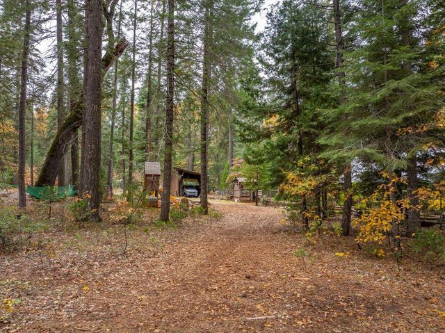 29104 Johnson Road, Montgomery Creek, CA 96065