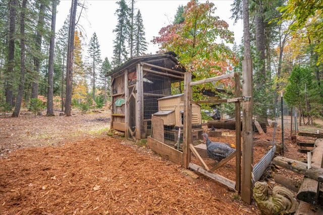 29104 Johnson Road, Montgomery Creek, CA 96065