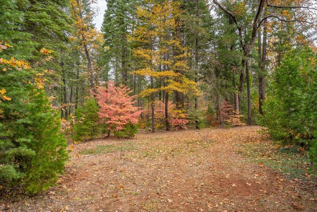 29104 Johnson Road, Montgomery Creek, CA 96065