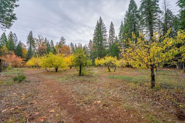 29104 Johnson Road, Montgomery Creek, CA 96065