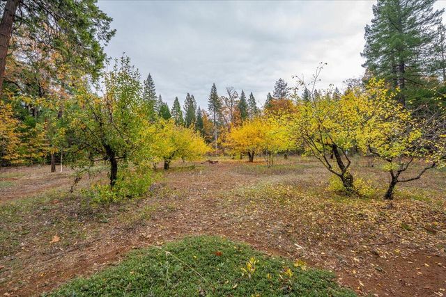 29104 Johnson Road, Montgomery Creek, CA 96065