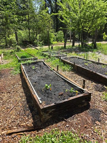 29104 Johnson Road, Montgomery Creek, CA 96065