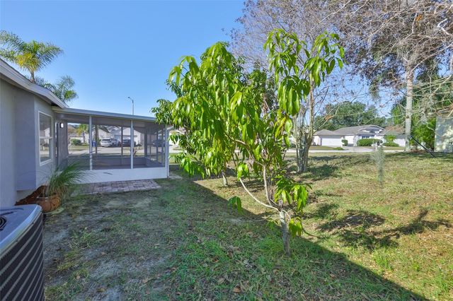 4423 HORSESHOE PICK LANE, Valrico, FL 33594