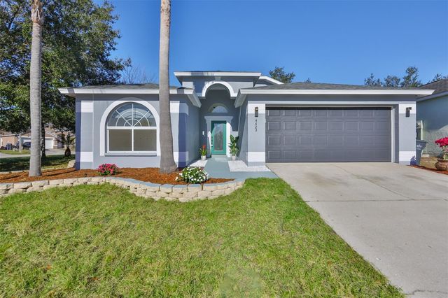 4423 HORSESHOE PICK LANE, Valrico, FL 33594
