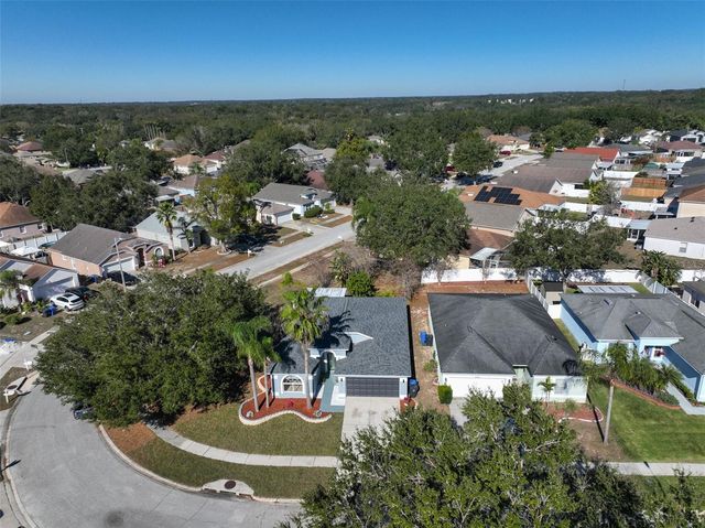 4423 HORSESHOE PICK LANE, Valrico, FL 33594